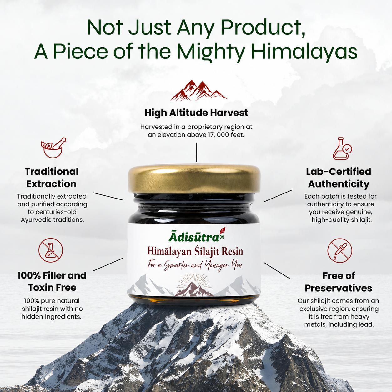 Shilajit Infographic